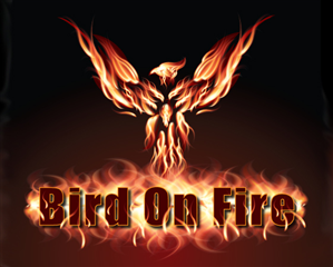Logo Design by Dennis Jackson for Bird on Fire Pty Ltd | Design #1185599