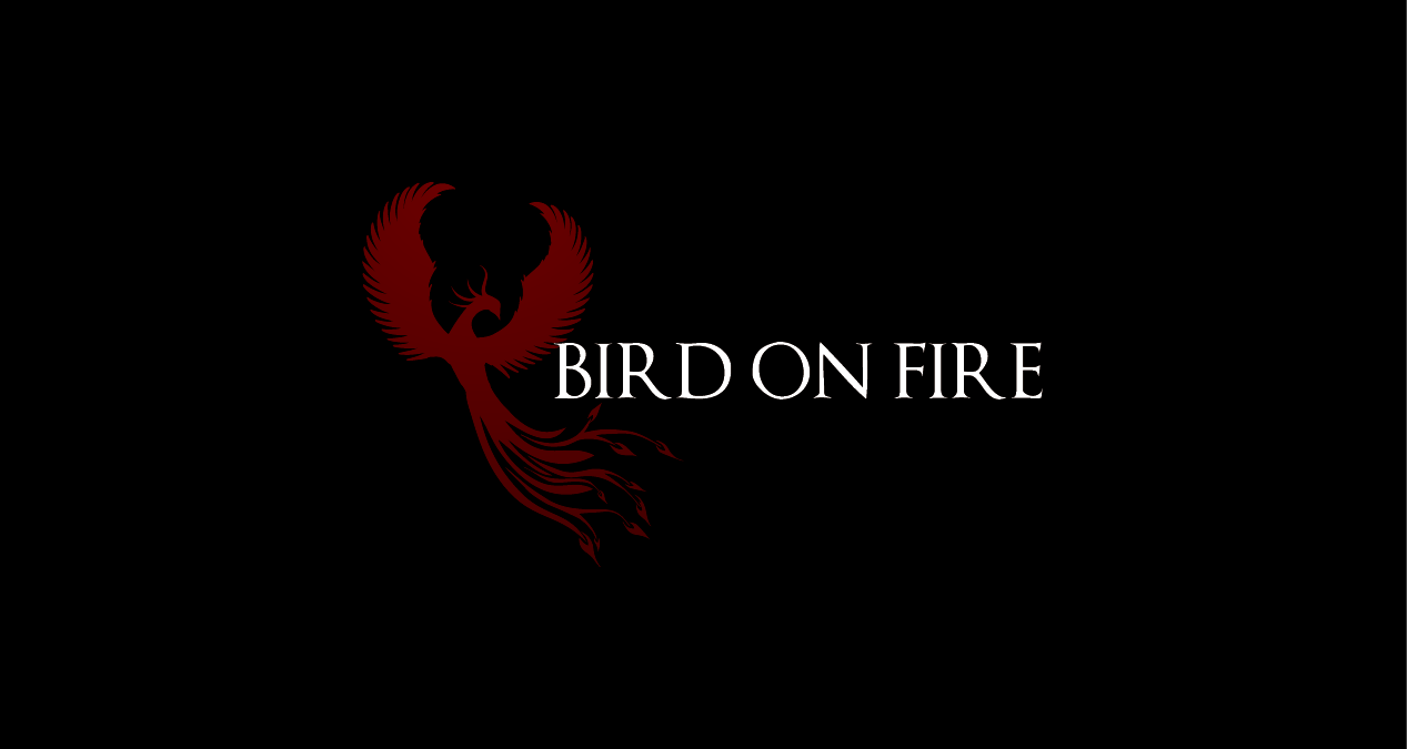 Logo Design by GORILAZ for Bird on Fire Pty Ltd | Design #1200005