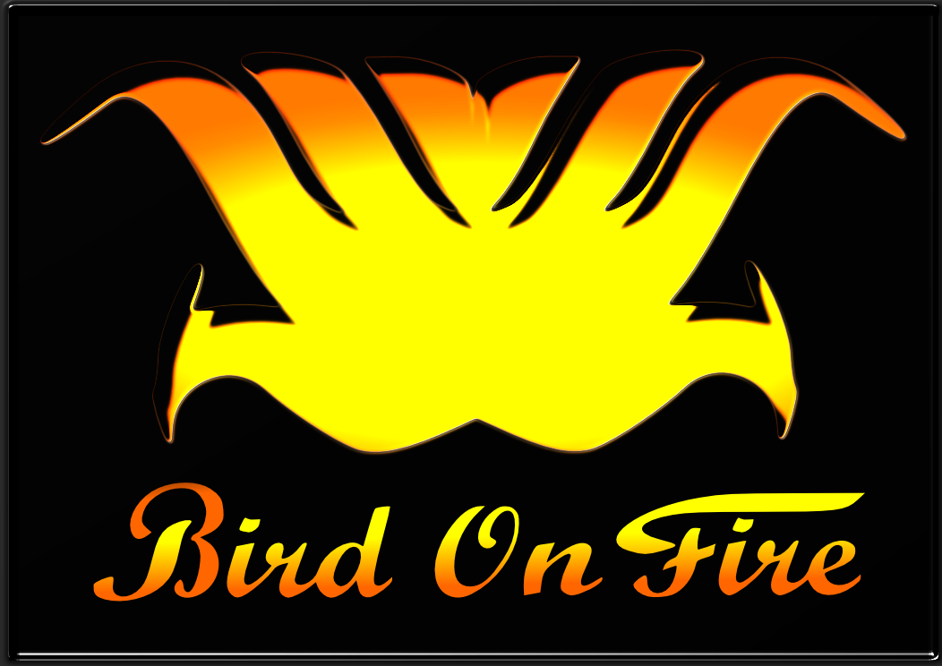 Logo Design by Leighton Graffic for Bird on Fire Pty Ltd | Design #1210648