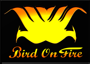 Logo Design by Leighton Graffic for Bird on Fire Pty Ltd | Design #1210648