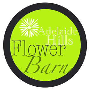 Logo Design by Queen Designer