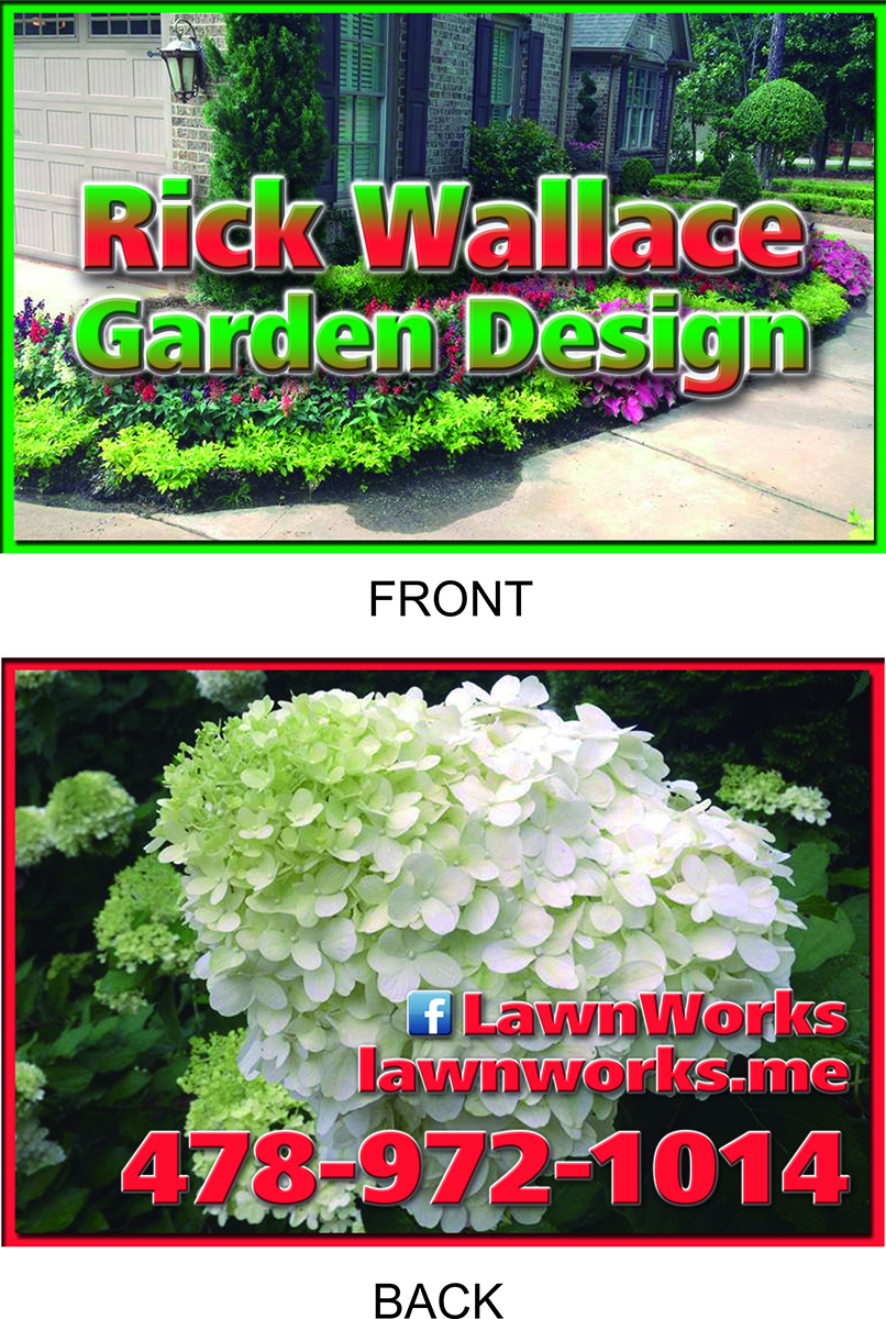 Graphic Design by Mayra Degiovanni for this project | Design #4123252