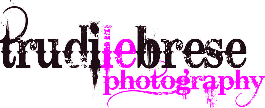 Logo Design by spirals for this project | Design #154061