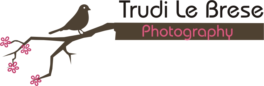 Logo Design by Kajal Gala for this project | Design #156935