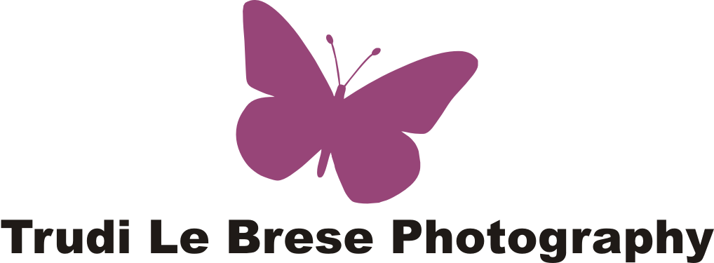 Logo Design by Alireza Mirzaei for this project | Design #157963