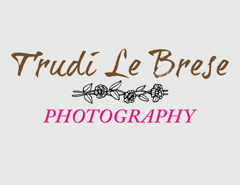 Logo Design by Frankly Graphic Design for this project | Design #179861