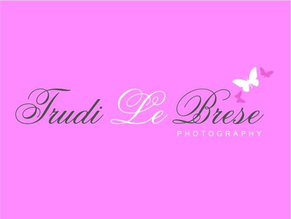 Logo Design by Blue Fox Creative for this project | Design #155840