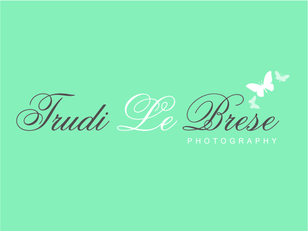 Logo Design by Blue Fox Creative for this project | Design #155843