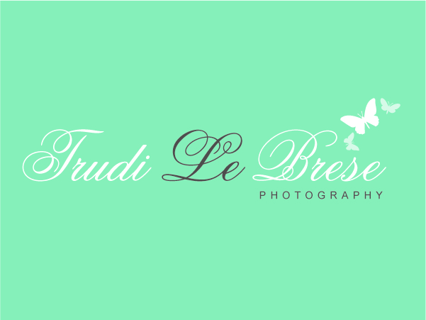 Design de Logo par Blue Fox Creative pour ce projet | Design #155844