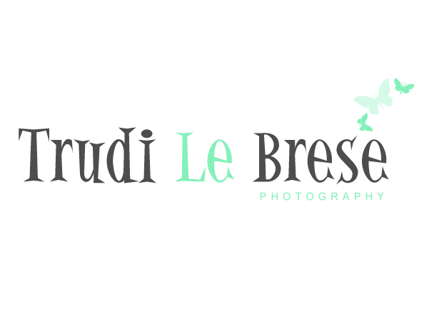 Design de Logo par Blue Fox Creative pour ce projet | Design #158522