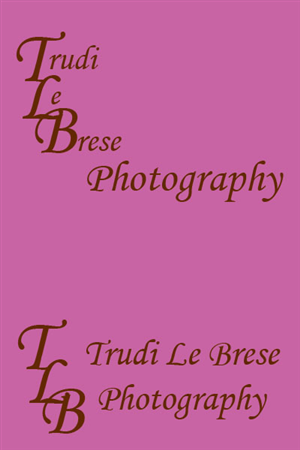 Logo Design by Anne Marie Bary