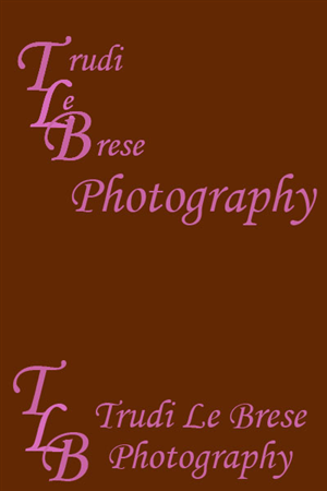 Design de Logo par Anne Marie Bary pour ce projet | Design : #154085