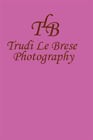 Design de Logo par Anne Marie Bary pour ce projet | Design : #154088