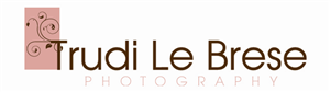 Logo Design by Andrea Hurley  