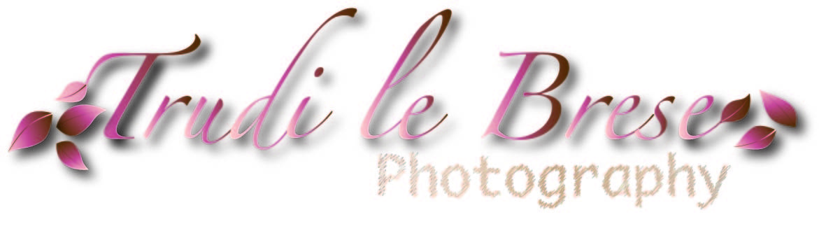 Logo Design by M Madafferi for this project | Design #159987
