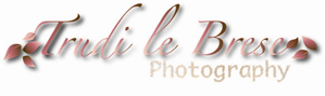 Logo Design by M Madafferi