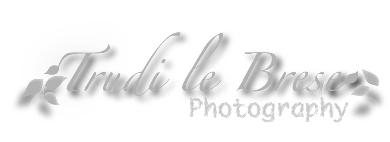 Logo Design by M Madafferi for this project | Design #159992