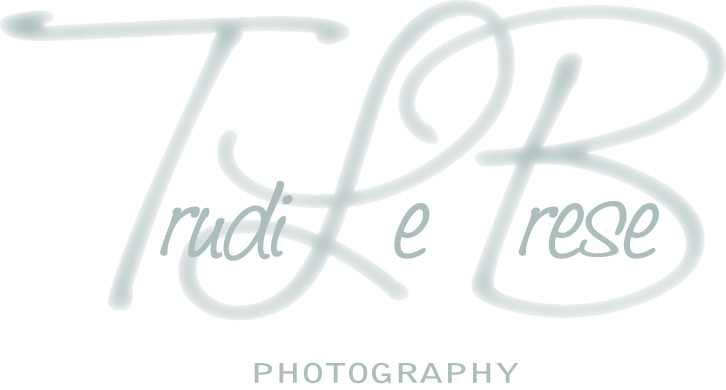 Design de Logo par M Madafferi pour ce projet | Design #161632