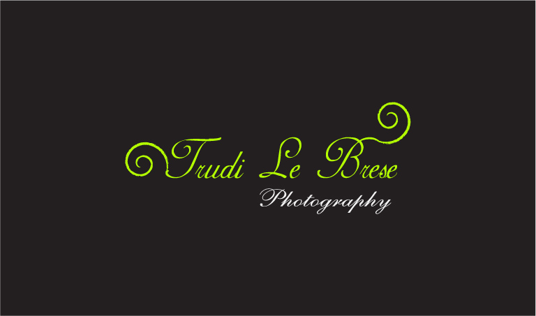 Design de Logo par xinxinrenlei pour ce projet | Design #159774