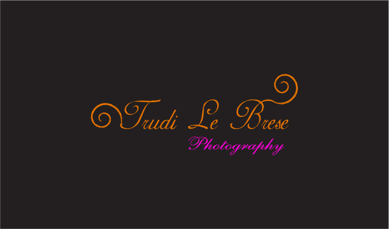 Logo Design by xinxinrenlei for this project | Design #159777