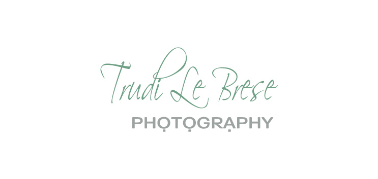 Logo Design by xinxinrenlei for this project | Design #178100