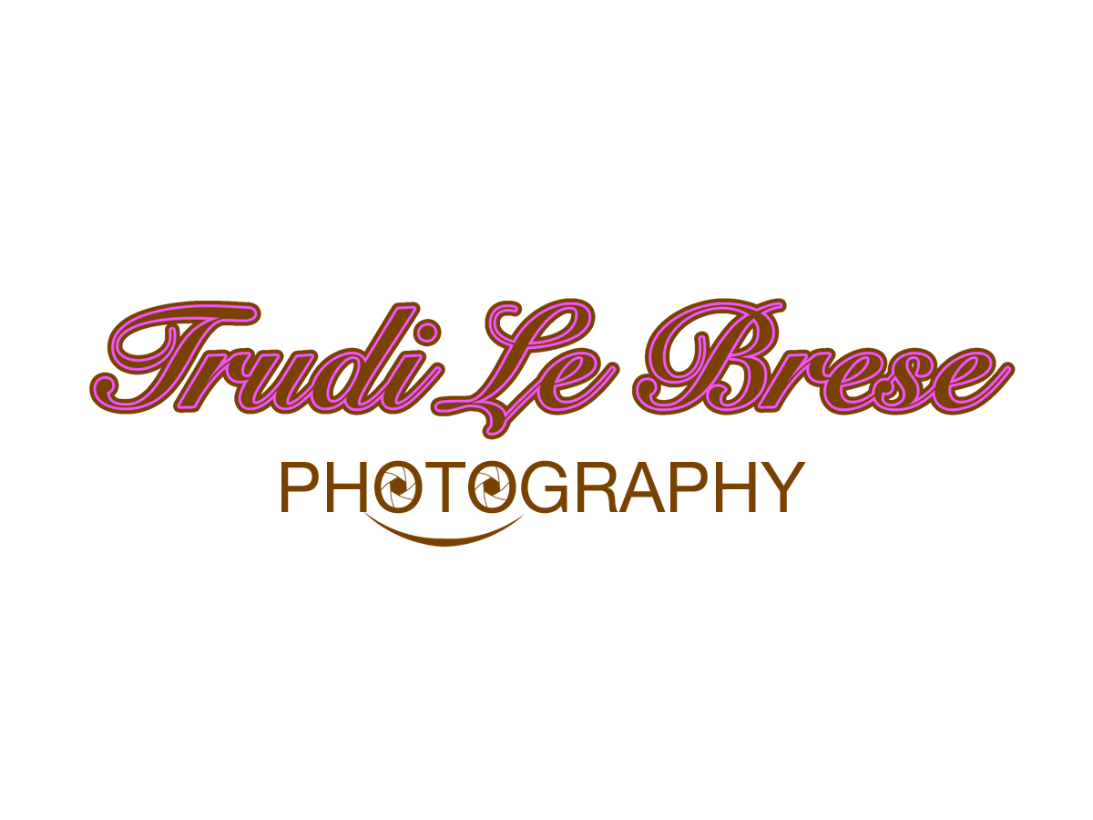 Logo Design by seancfy for this project | Design #154377