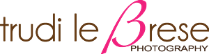 Logo Design by Doherty Designs 