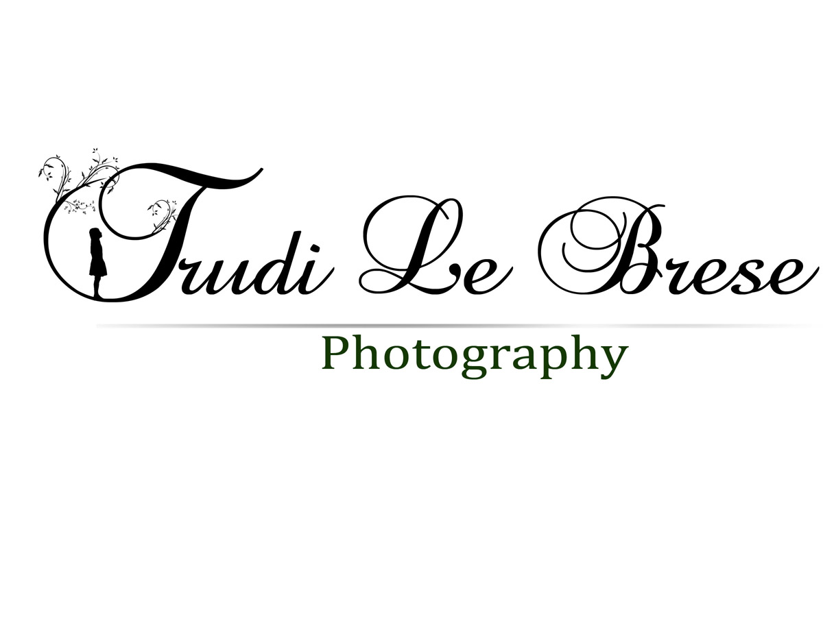 Logo Design by PurpleDreams for this project | Design #161450