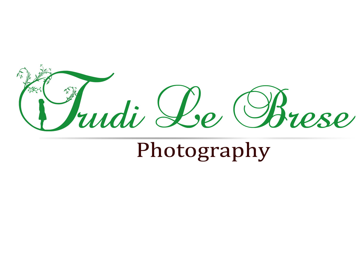 Logo Design by PurpleDreams for this project | Design #161451