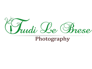 Logo Design by PurpleDreams for this project | Design: #161451