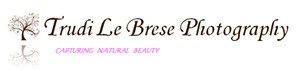Logo Design by SB 