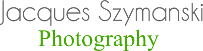Design de Logo par CookieJar99 pour ce projet | Design #4125626