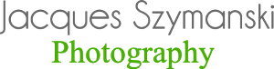 Logo Design by CookieJar99