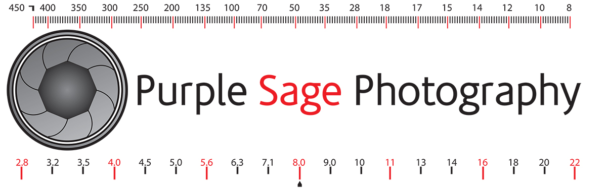 Logo Design by mahshokeir for this project | Design #4126114