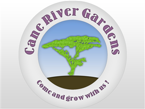 Logo Design by Adryan