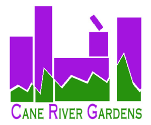 Logo Design by nipuna