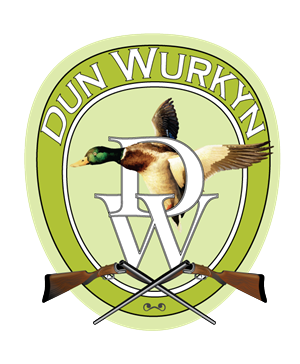 Diseño de Logo por rémy para este proyecto | Diseño: #4213672