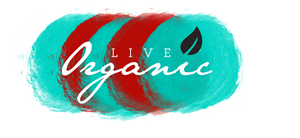 Logo Design by Pluginns Graphix Pvt. Ltd.