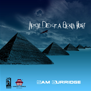 CD Cover Design by tarokun for this project | Design: #1160772