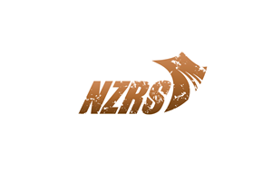 NZ Rescue Safety (or NZRS) | Logo Design by Skwagor