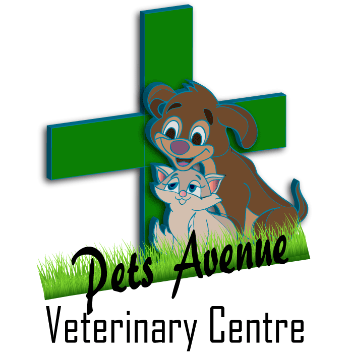 Design de Logo par Deon Strydom pour ce projet | Design #4221902