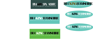 Logo Design by anam fraz