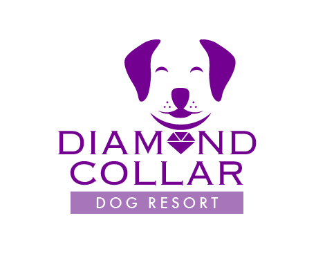 Logo Design by TSEdesign for this project | Design #4147062