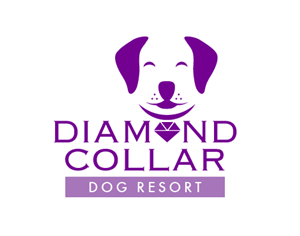 Logo Design by TSEdesign for this project | Design: #4147062
