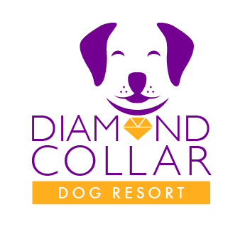 Diseño de Logo por TSEdesign para este proyecto | Diseño #4153775