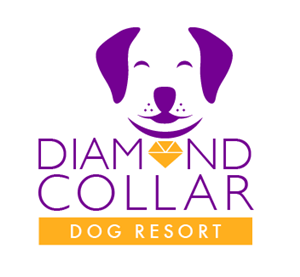 Logo Design by TSEdesign for this project | Design: #4153775