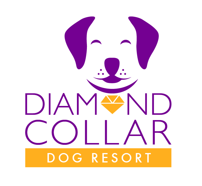 Logo Design by TSEdesign for this project | Design #4156470