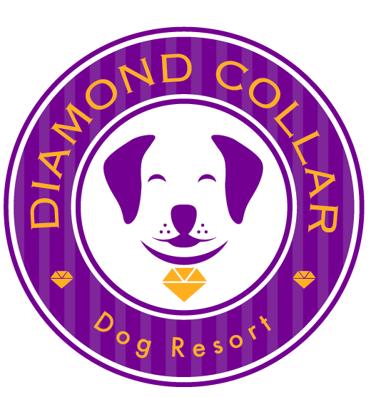 Logo-Design von TSEdesign für dieses Projekt | Design #4158443
