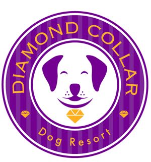Logo Design by TSEdesign for this project | Design: #4158443