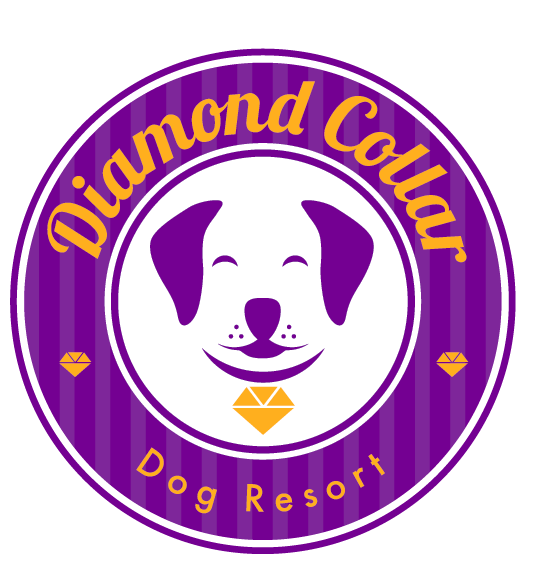 Logo Design by TSEdesign for this project | Design #4158595